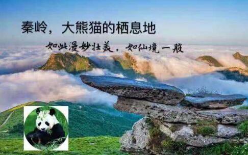 “秦岭大熊猫文化宣传活动”走进北京
