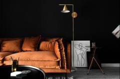 迷人的黑色家居 CCTV-2《交换空间空间榜样